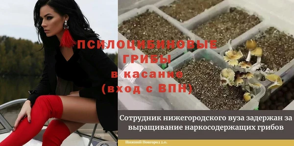 твердый Белоозёрский