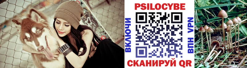 Псилоцибиновые грибы Cubensis  MEGA   Высоковск 